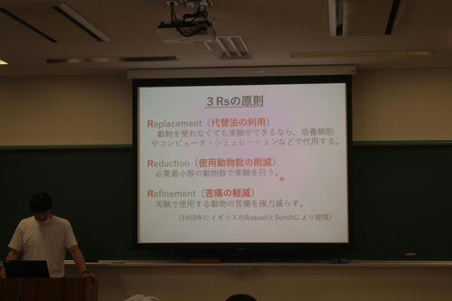 IMGP6041s.jpg