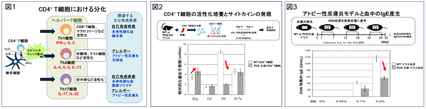 https://www.epu.ac.jp/graduate/health_sciences/file/2024-05-16_10h24_08.png