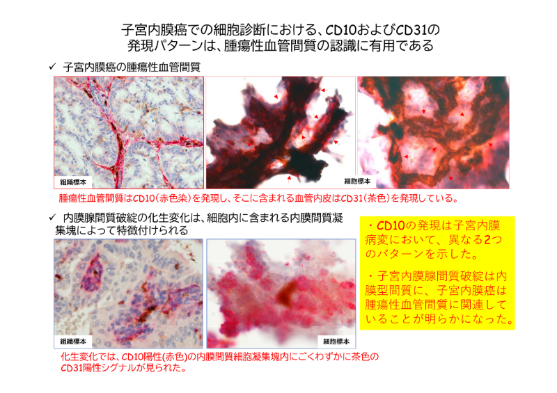 グラフィックアブストラクト