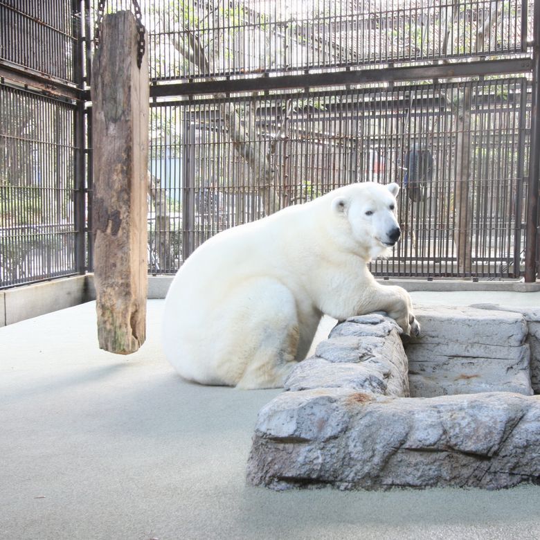 とべ動物園